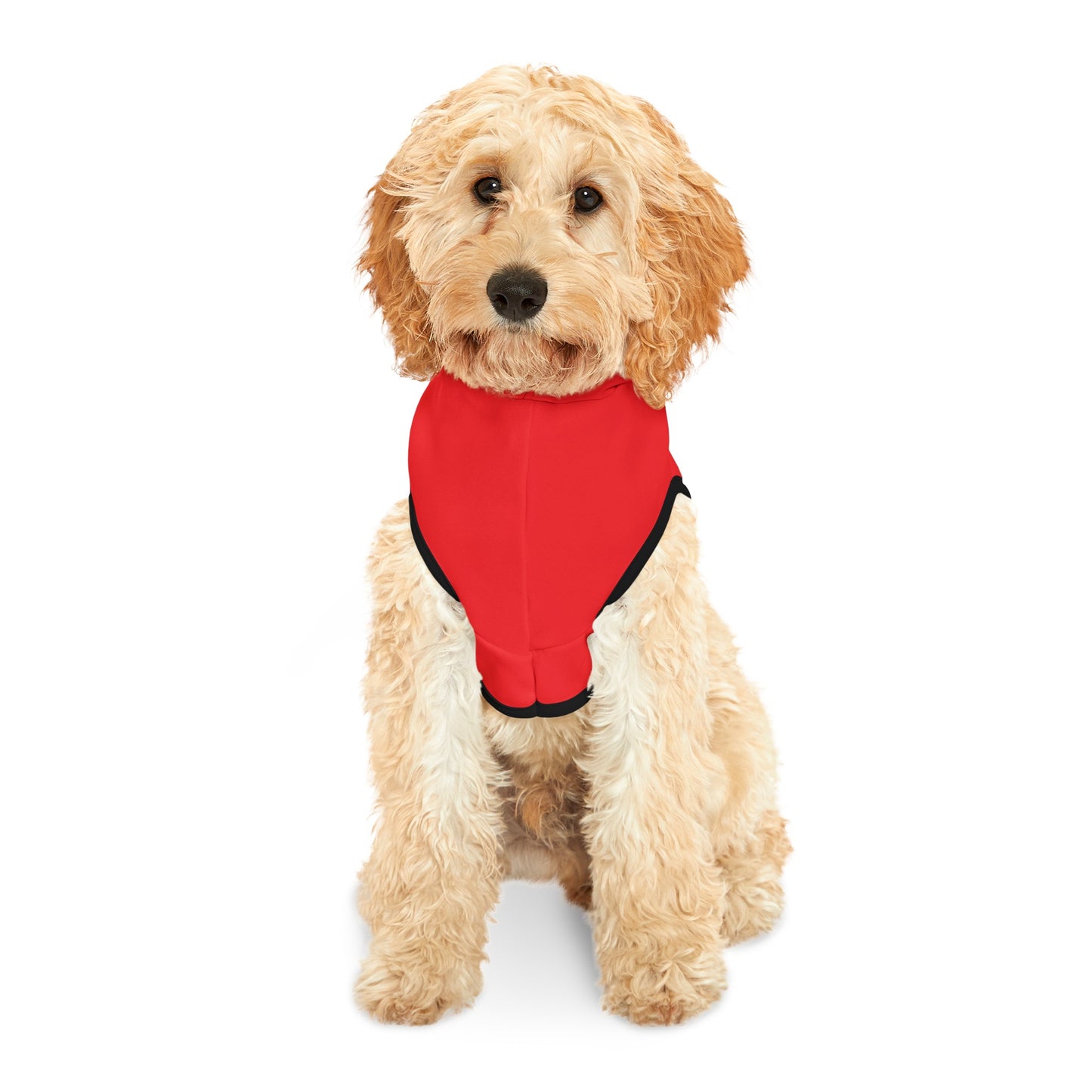 Lump Dog™ Pet Hoodie