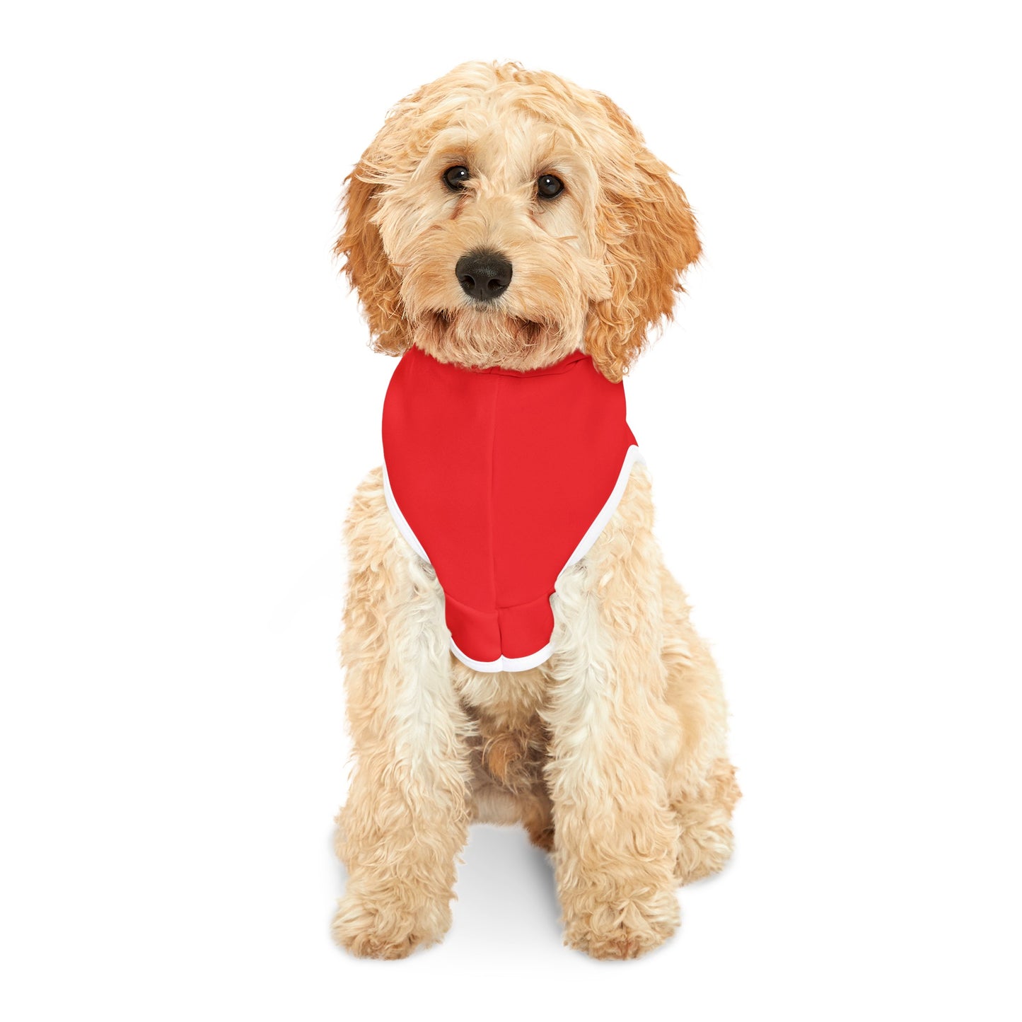 Lump Dog™ Pet Hoodie